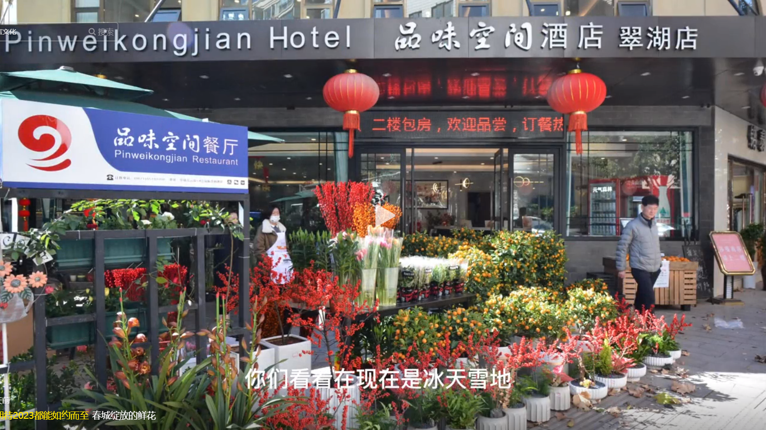 春城綻放的鮮花